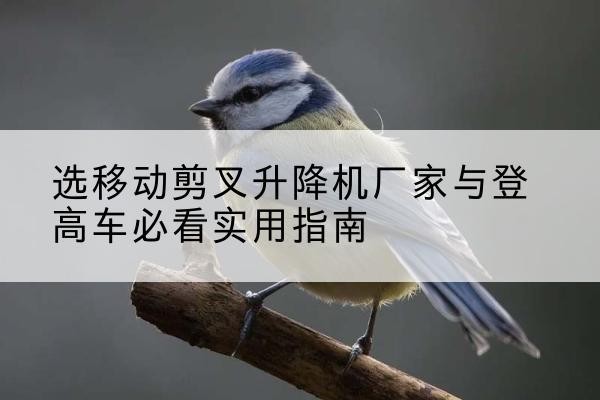 龙城电动升降机厂家-选移动剪叉升降机厂家与登高车必看实用指南