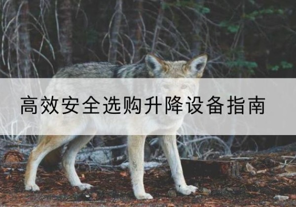 龙城升降货梯厂家推荐-*安全选购升降设备指南