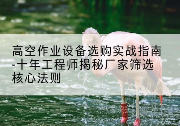 龙城剪叉式升降机厂家-高空作业设备选购实战指南-十年工程师揭秘厂家筛选核心法则