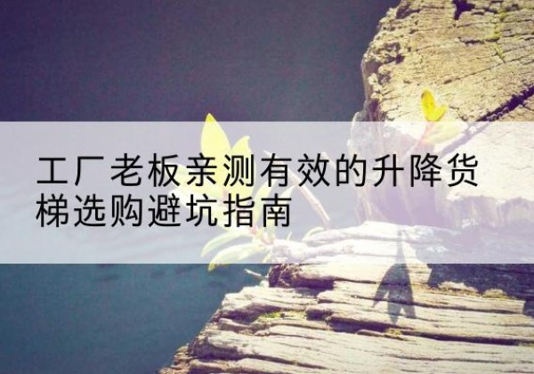 龙城升降货梯怎么选-工厂老板亲测有效的升降货梯选购避坑指南